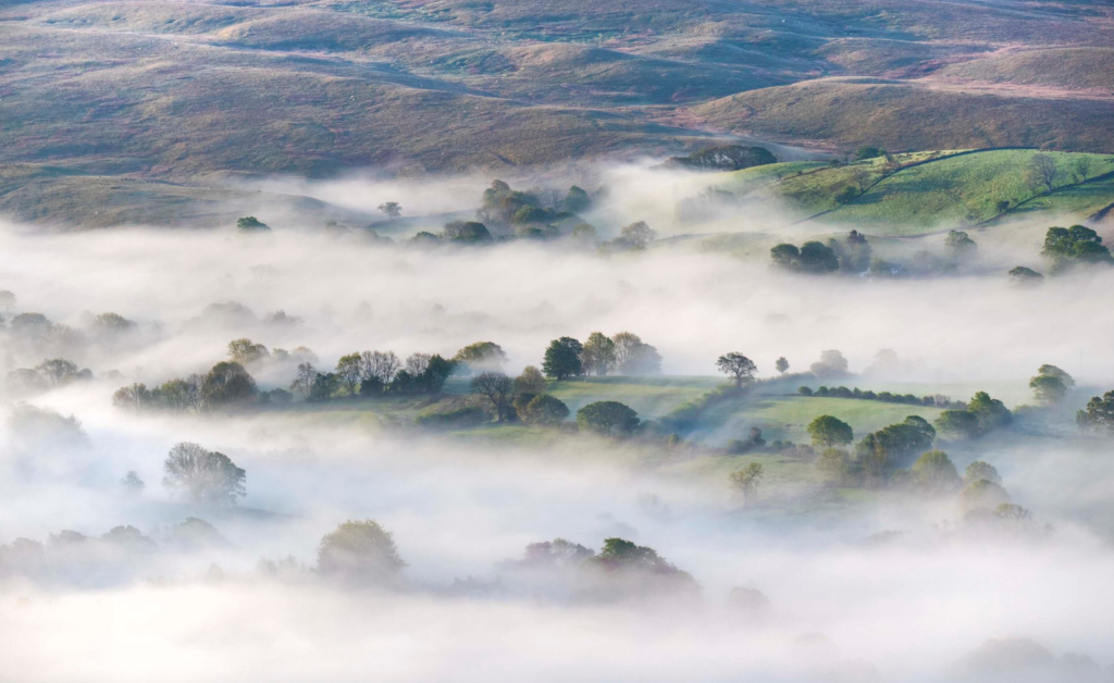 Mist1