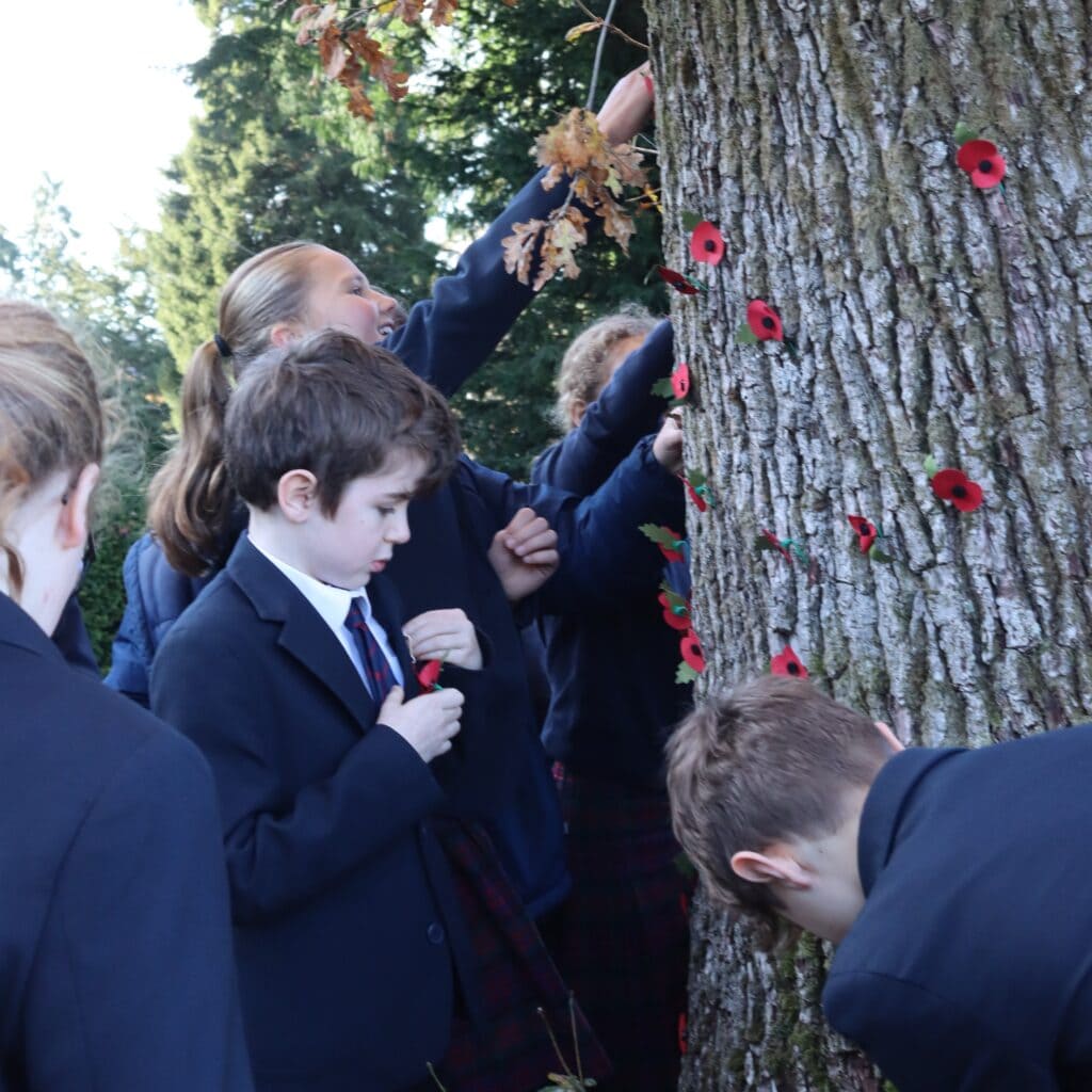 Prep School Pupils Pinning Poppies On Tree