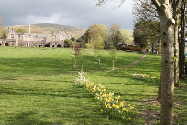 Daffs